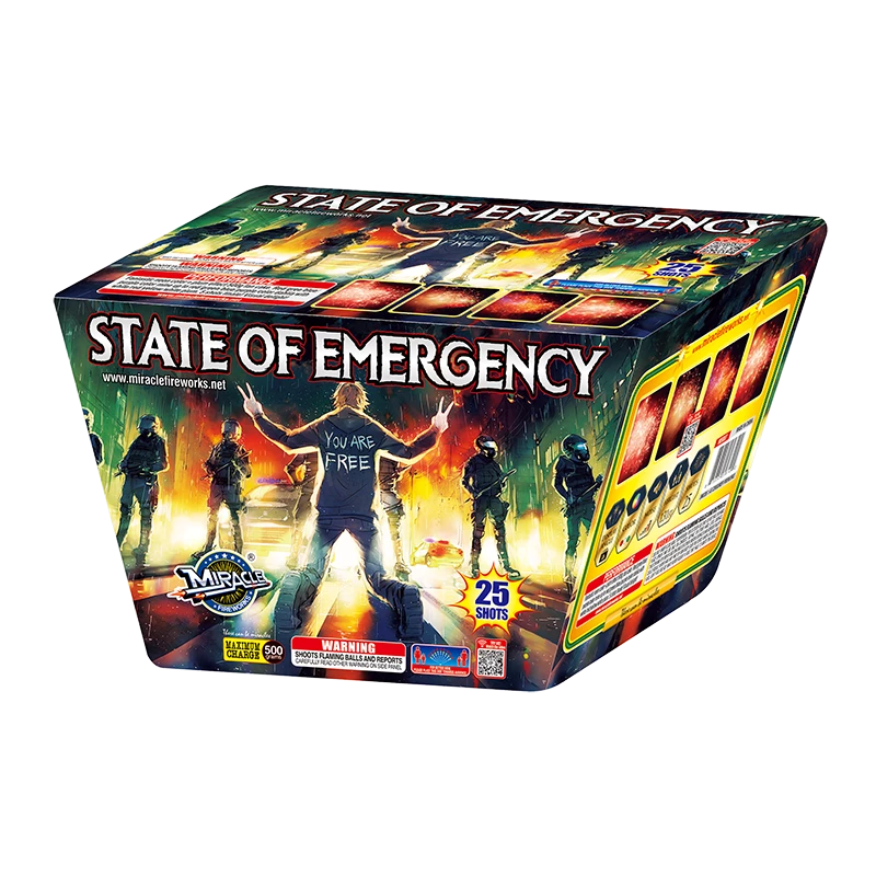 state of emergency 500 gram cake miracle firewok